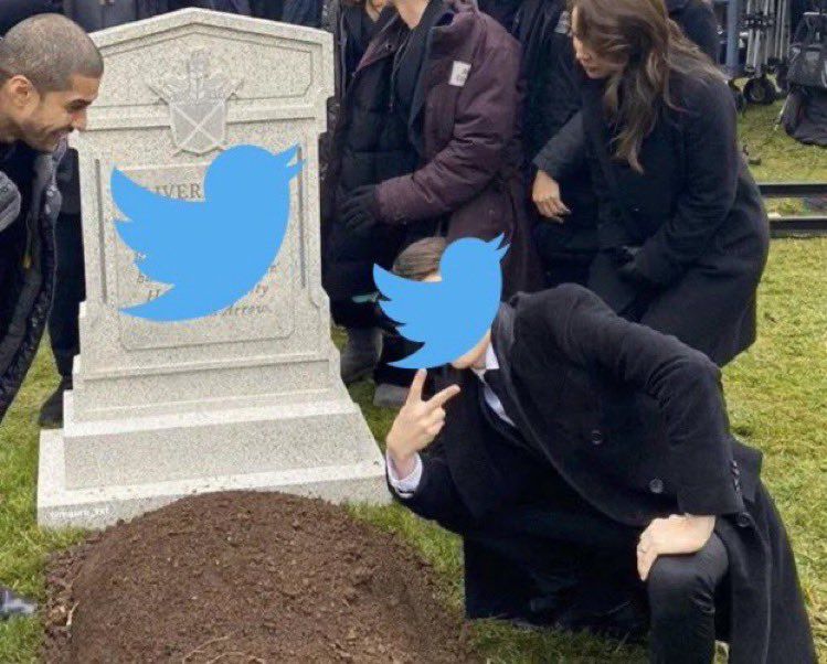 Elon Musk's Twitter Meme