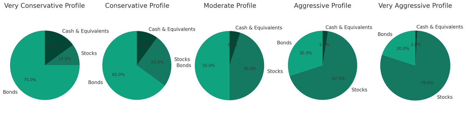 Stock Portfolios by Risk Profile