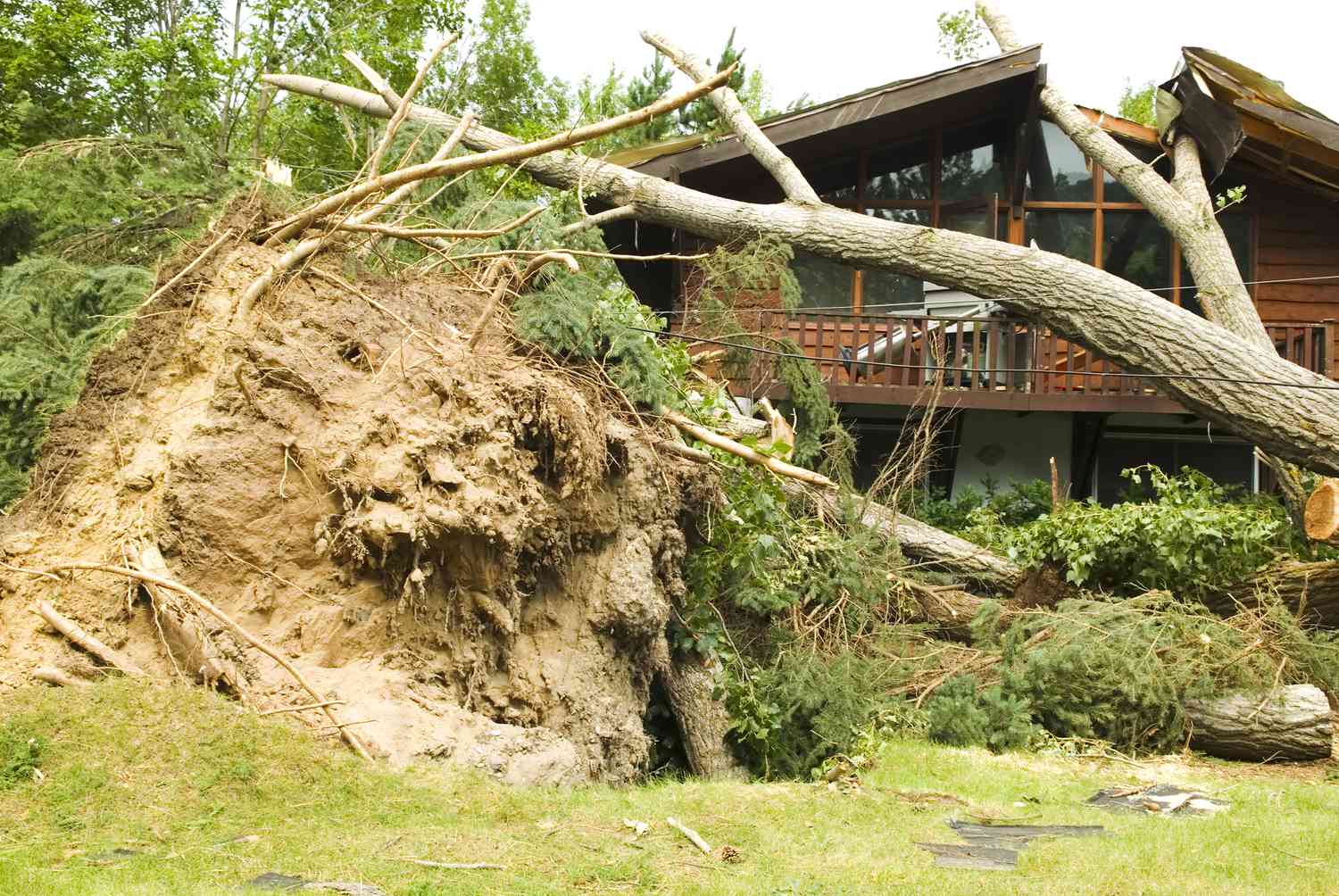 House destroyed by a tornado with fallen tree cutting through the roof.