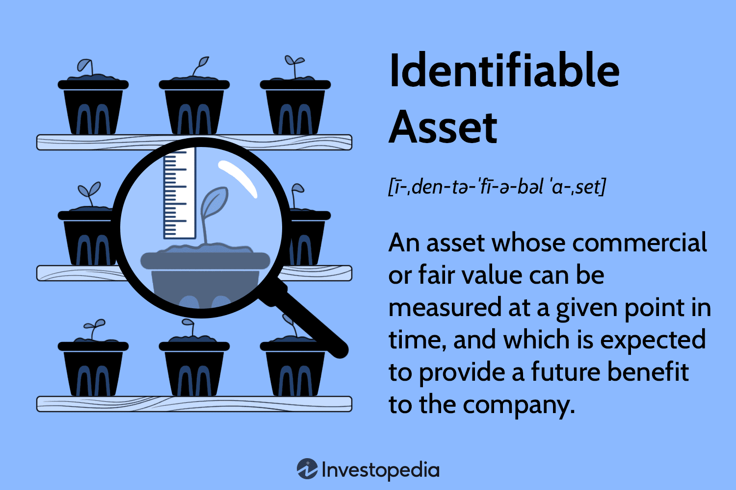 Identifiable Asset