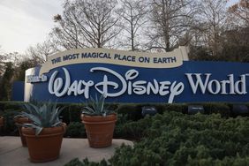 Plants are seen in front of a blue sign that reads "The Most Magical Place on Earth: Welcome to Walt Disney World"