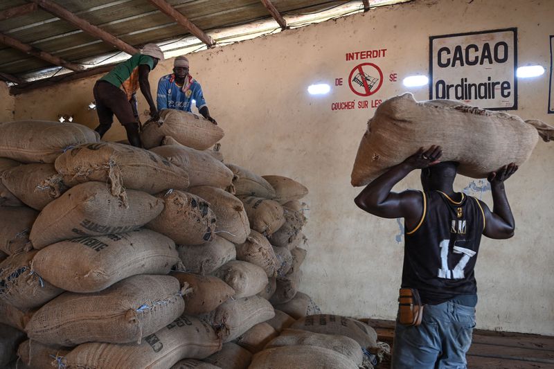 Workers load sacks of cocoa beans in a warehouse