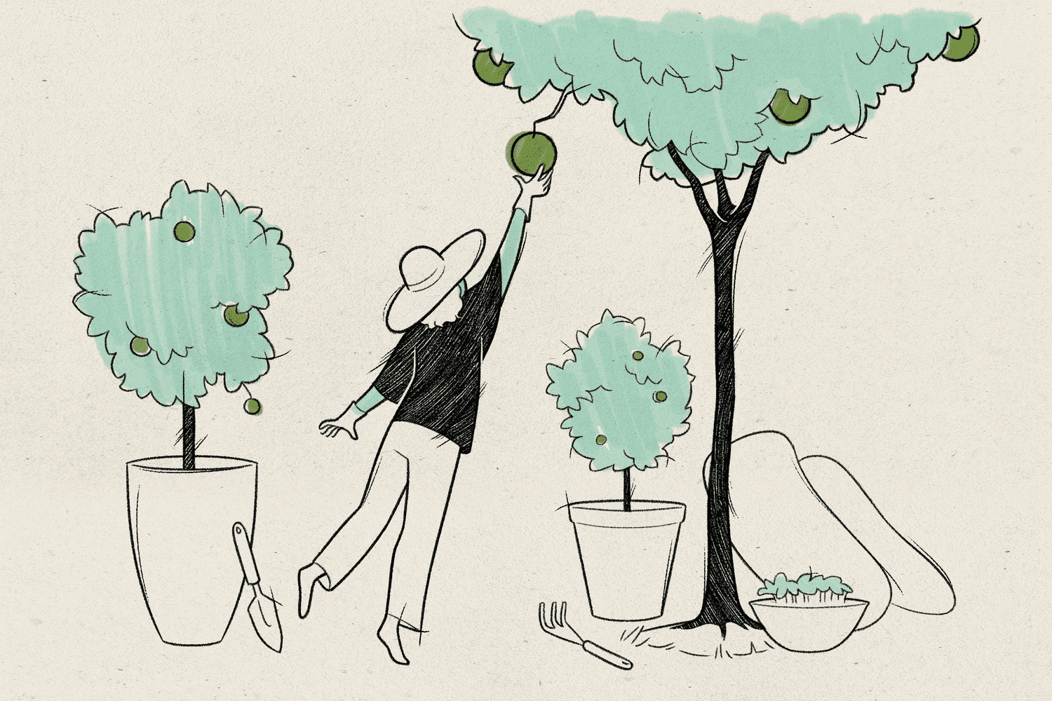 Illustration of a woman reaching for an apple.