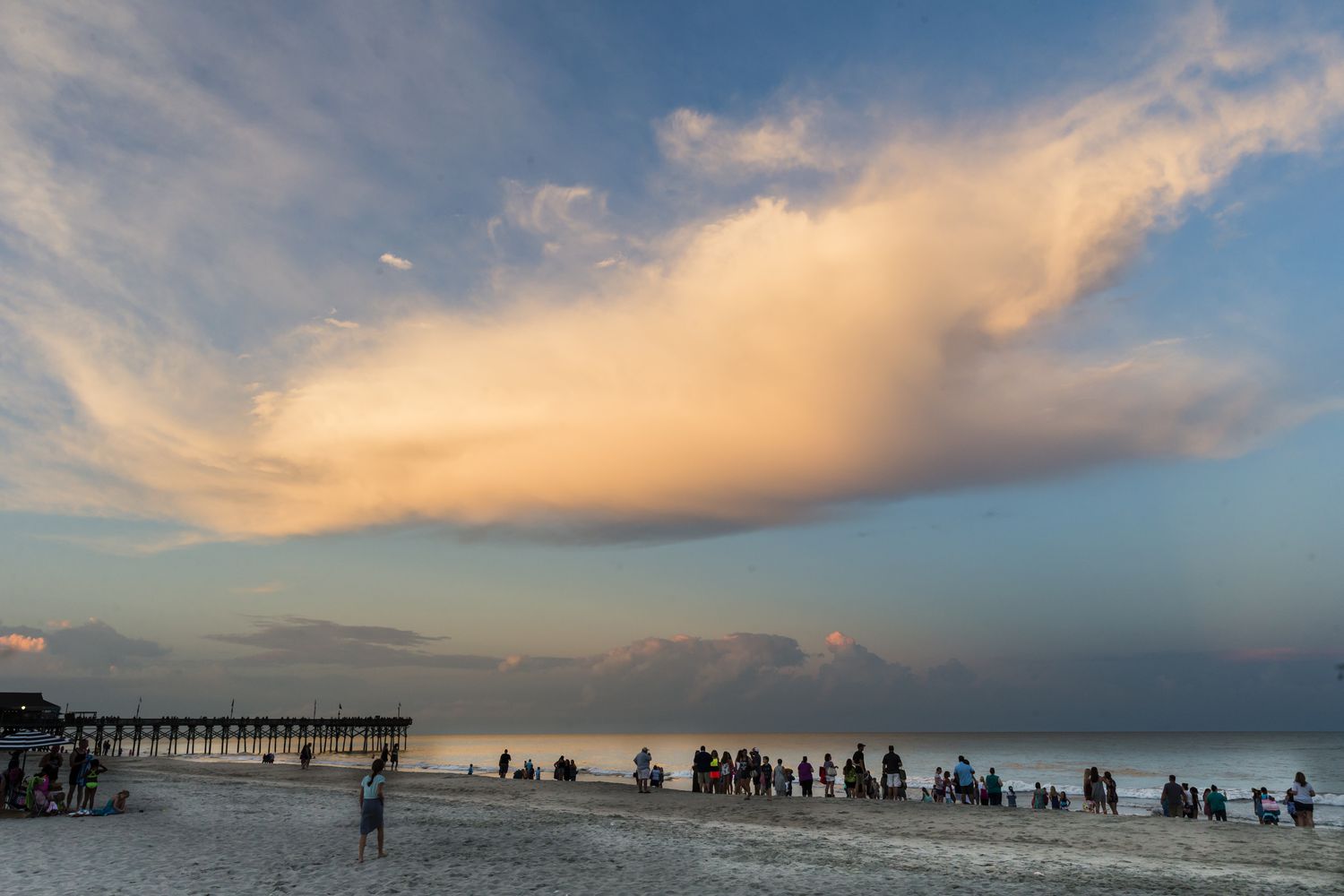 North Myrtle Coast.