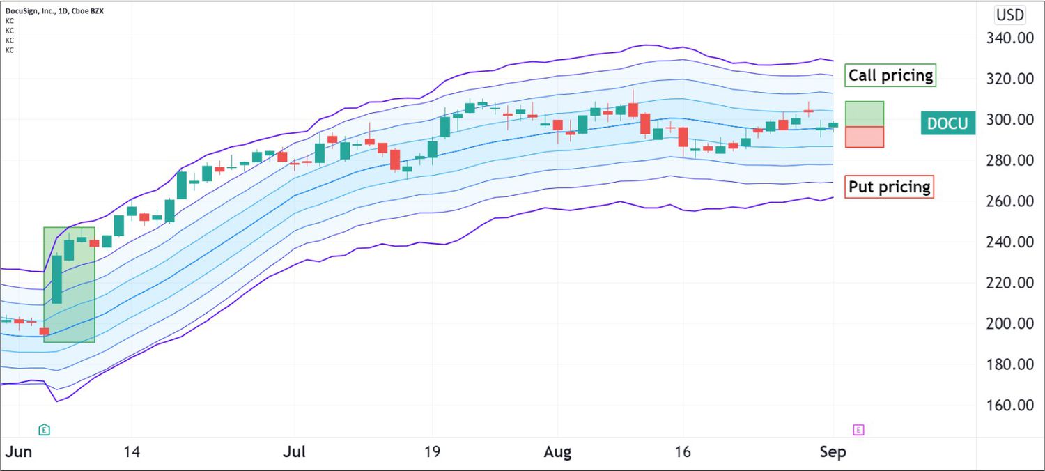Option pricing for DocuSign (DOCU)