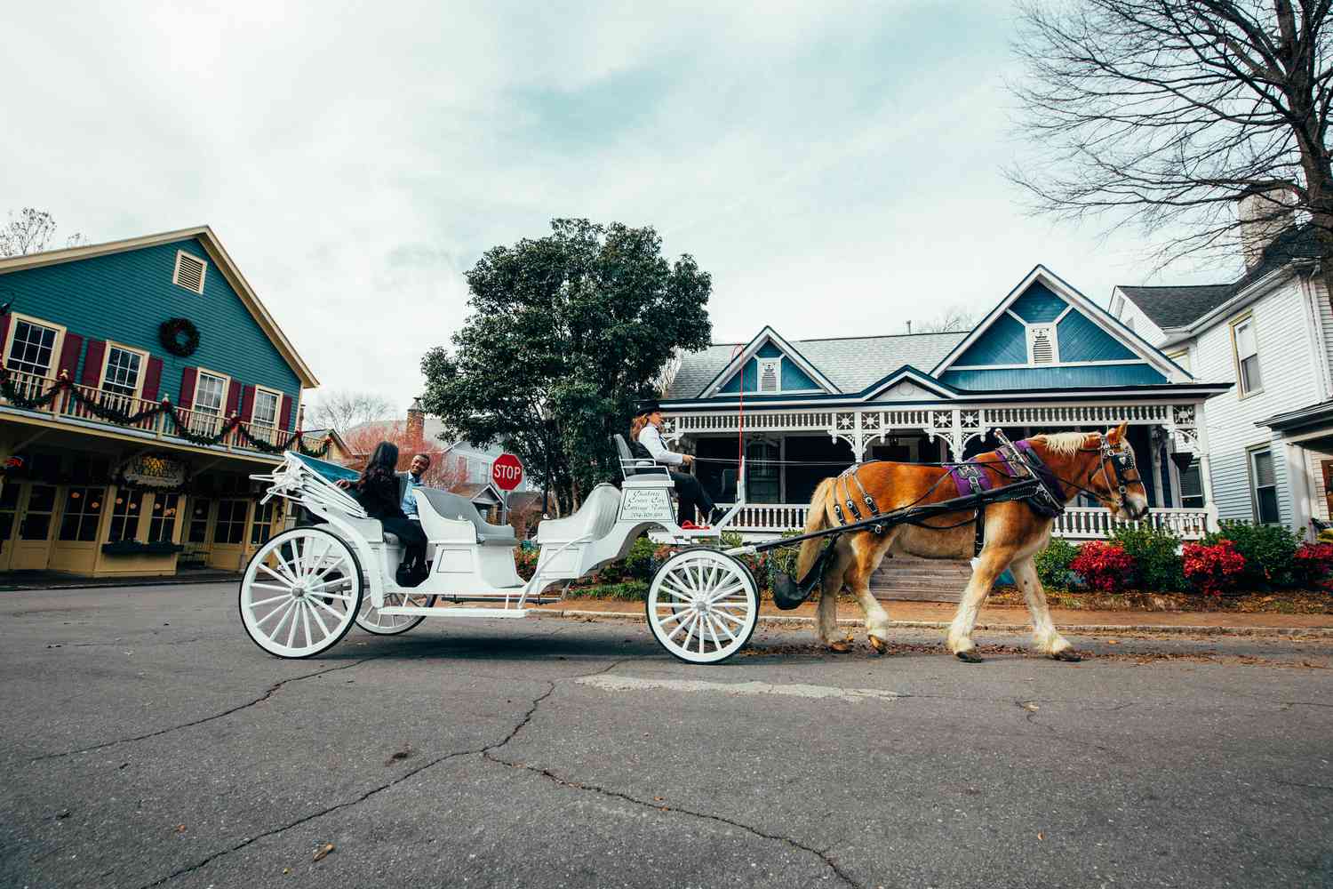 Charlotte horse and carriage