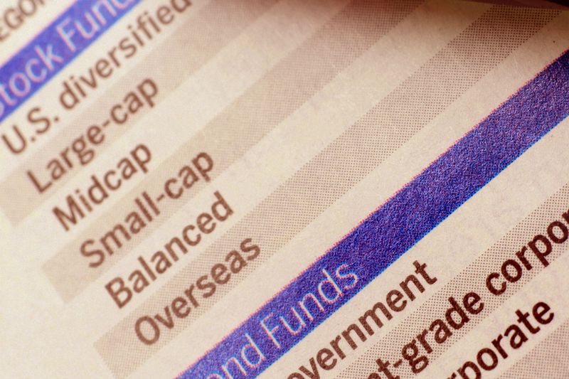 A prospectus that breaks down stock and bond mutual fund categories.