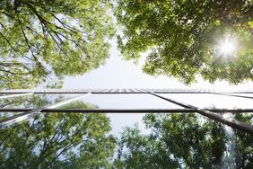 looking up at the sky and building with trees
