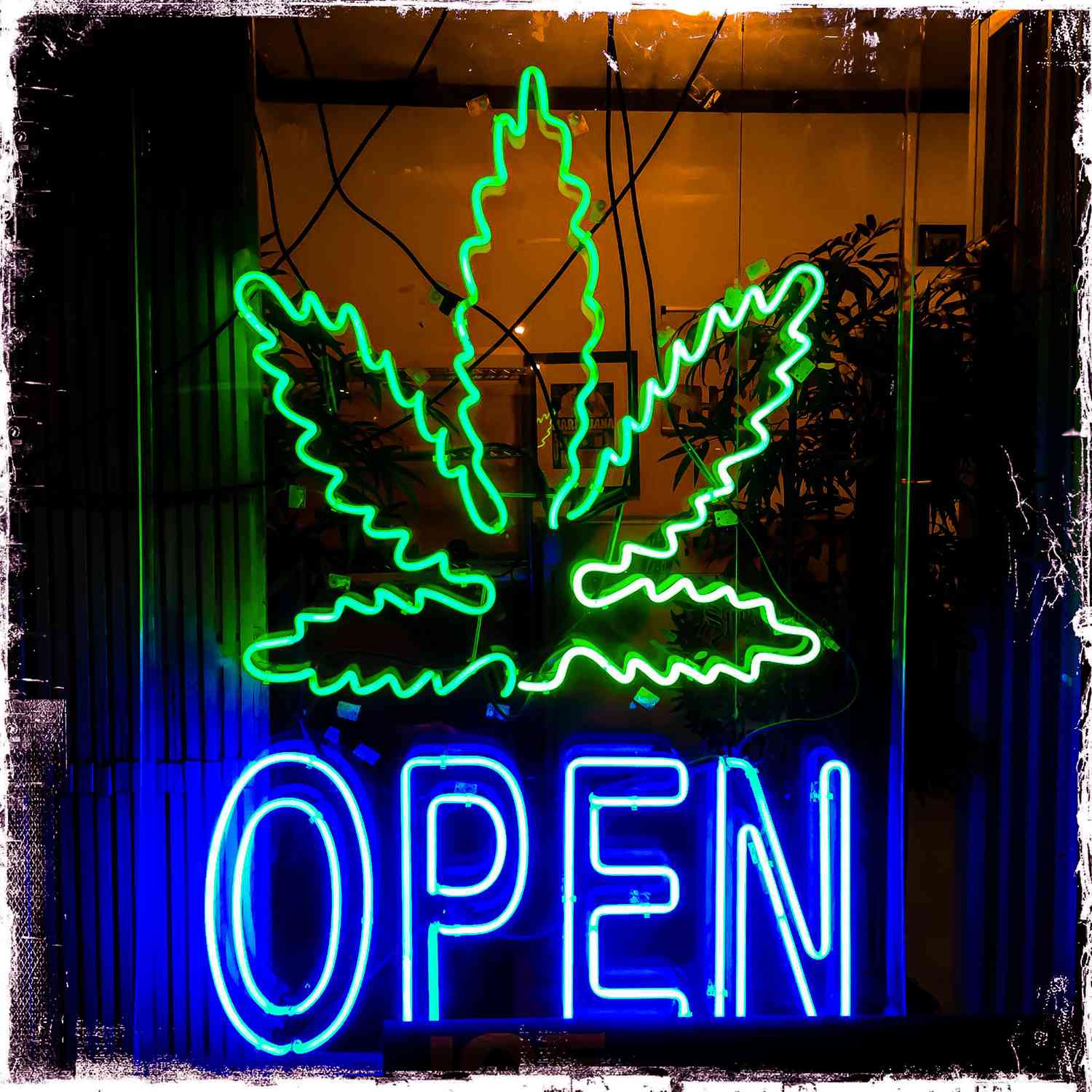 "Open" sign at a weed shop